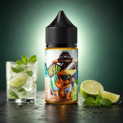 Gaslty Mojito Premium Salt Likit