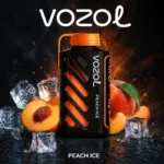 Vozol Gear Power 20000 Peach Ice